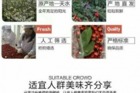 樱桃之袖珍妈妈演员表,实力派演员阵容演绎感人亲情故事