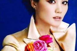 王菲资料,华语乐坛天后，音乐与人生的完美融合