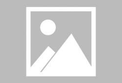 张令仪个人资料,传奇女性，时代先锋，智慧与美貌并重的杰出代表